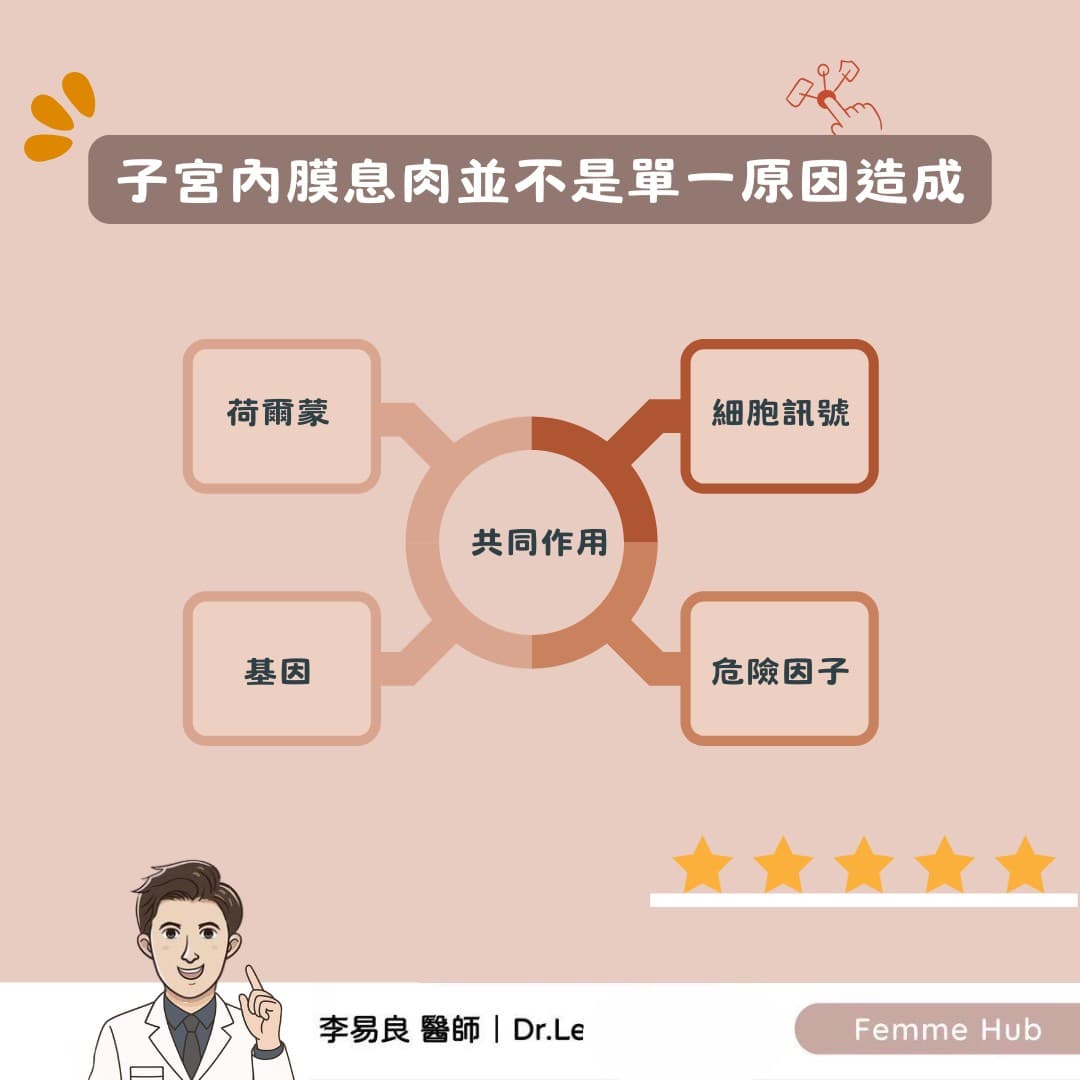 子宮內膜息肉：不只是雌激素的問題1.jpg