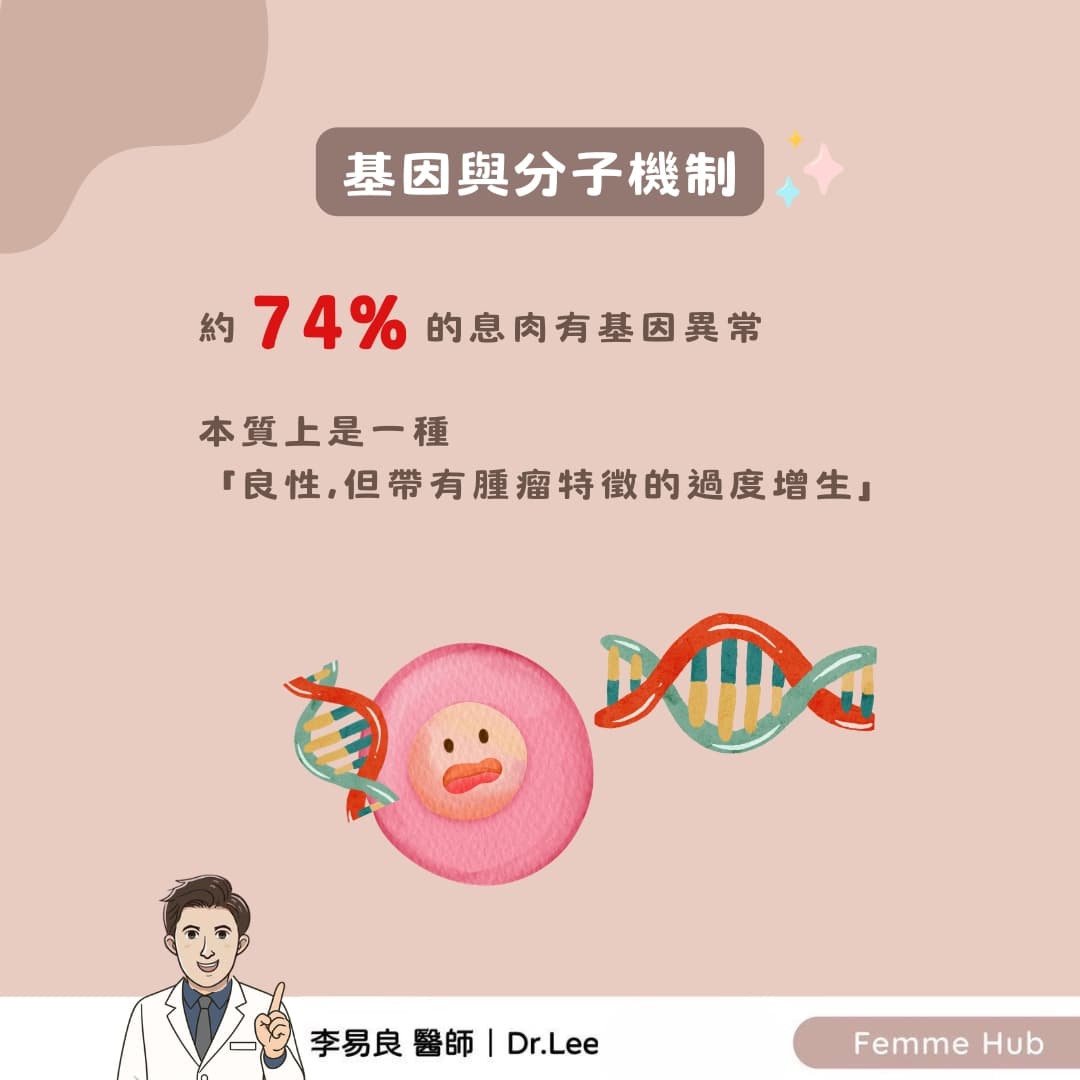 子宮內膜息肉：不只是雌激素的問題3.jpg