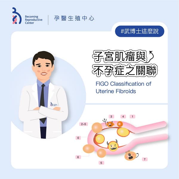 子宮肌瘤與不孕症之關聯.jpg